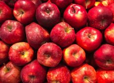 Fresh Turkish Apples in a Basket - Turkish Goods" "Close-up of Crisp Turkish Apple - Turkish Goods" "Harvested Turkish Apples Ready for Export - Turkish Goods" "Premium Quality Turkish Apple Collection - Turkish Goods" "Turkish Goods - Supplier of Fresh and Crisp Apples