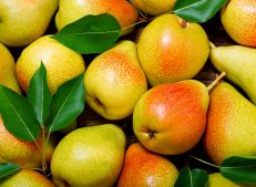 Turkish Goods - Fresh and Succulent Pears Supplier