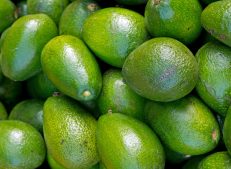 Premium Quality Turkish Avocado - Turkish Goods