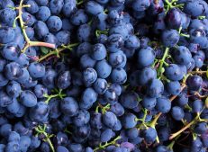 Fresh Turkish Grapes Clusters - Turkish Goods