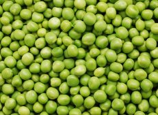 Harvested Turkish Fresh Peas Ready for Export - Turkish Goods
