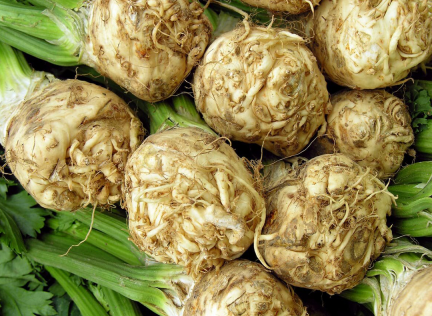 Fresh Turkish Celery Stalks - Turkish Goods