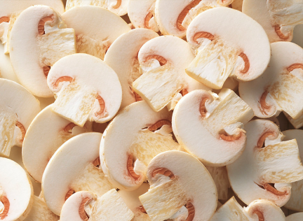 Close-up of Plump and Flavorful Turkish Mushroom - Turkish Goods
