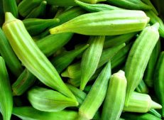 Natural Organic Okra: Healthy and Healing Flavor from Nature!