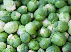 Fresh Brussels sprouts are grown using natural and organic farming methods.