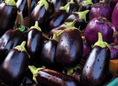 Our organic aubergine is a healthy and delicious vegetable alternative.