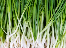 Bundle of Fresh Turkish Scallions - Turkish Goods