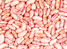 Premium Quality Turkish Kidney Bean Collection - Turkish Goods