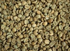 remium Quality Turkish Green Coffee Bean Collection - Turkish Goods