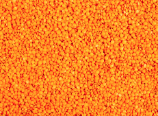 Turkish Goods - Supplier of Fresh and Versatile Red Lentils