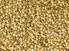 Turkish Goods Premium Green Lentils - Turkish Goods