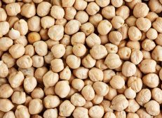Buy wholesale chickpeas in bulk from Turkish Goods