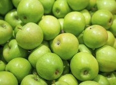 Buy wholesale green apples in bulk from Turkish Goods