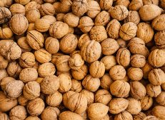 Buy wholesale walnuts in bulk from Turkish Goods