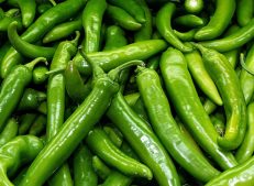 Buy wholesale green peppers in bulk from Turkish Goods