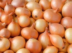 Buy wholesale onions in bulk from Turkish Goods