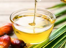 Buy wholesale palm oil in bulk from Turkish Goods