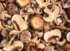Buy wholesale dried mushroom in bulk from Turkish Goods
