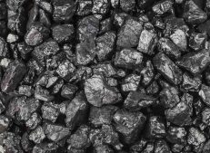 High-Quality Coal for Industrial Solutions