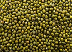 Turkish Goods: High Quality Green Mung Beans for Wholesale