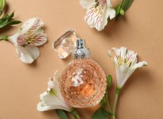 Exquisite Turkish Perfumes with Excellent Quality